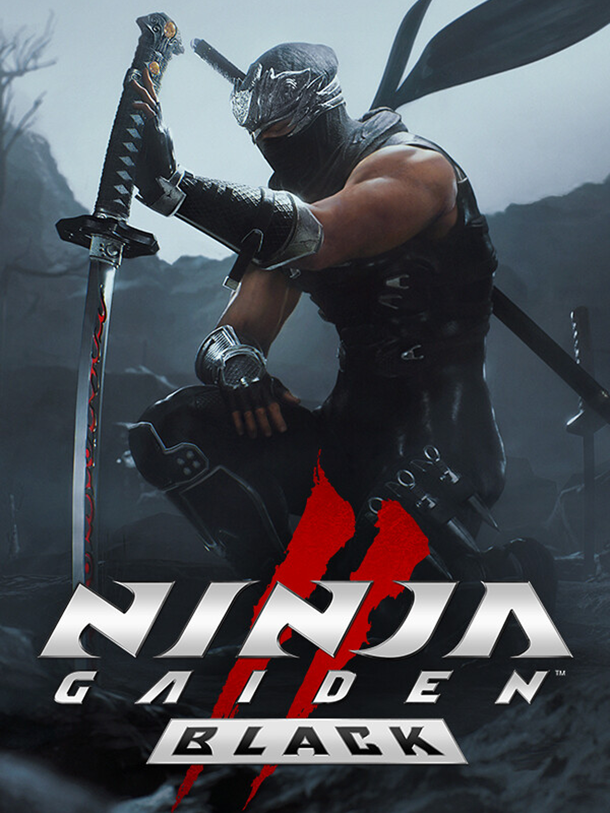 Ninja Gaiden 2 Black