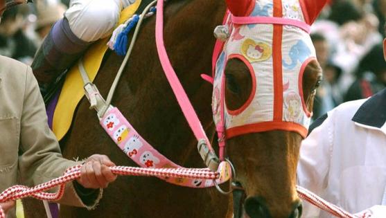 A Racehorse’s Legacy: How an Anime Game Won Over Fans
