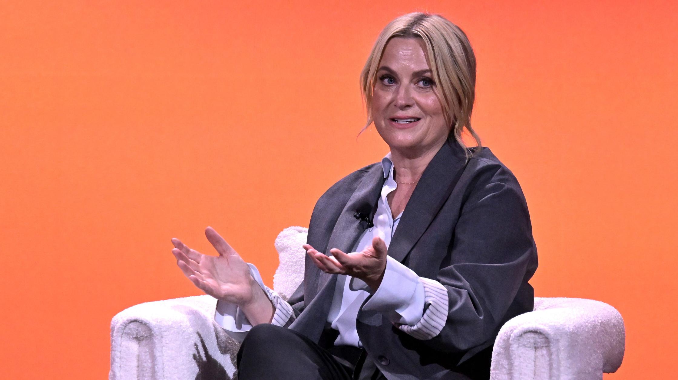 Amy Poehler Slams Oscars for Ignoring Pure Comedies