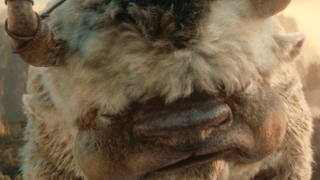 'Avatar Fans Adore Real-life Appa in First Trailer, Big and Fluffy'
