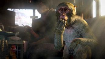 Discover How Oaty Treats Changed Our Gaming Experience Forever