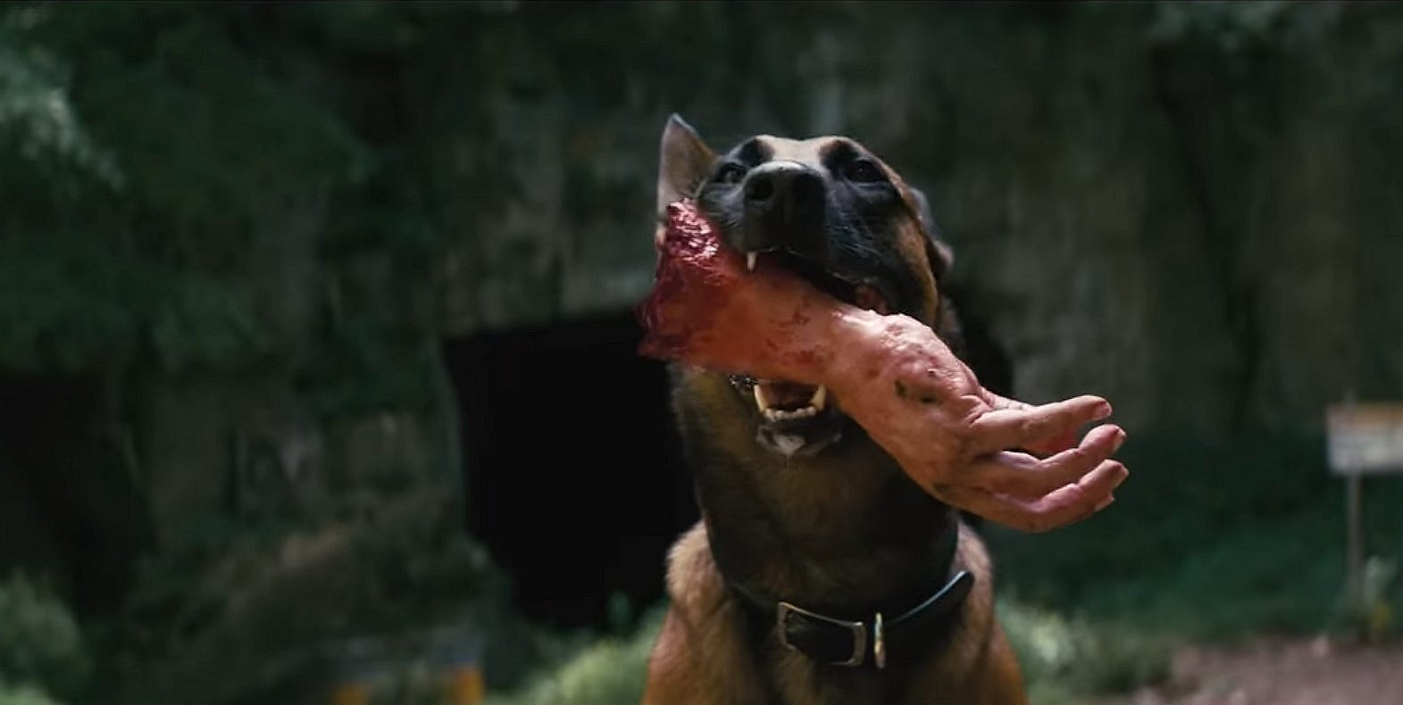 Fallout frenzy ignites as new trailer sparks wild anticipation for Prime's epic show release