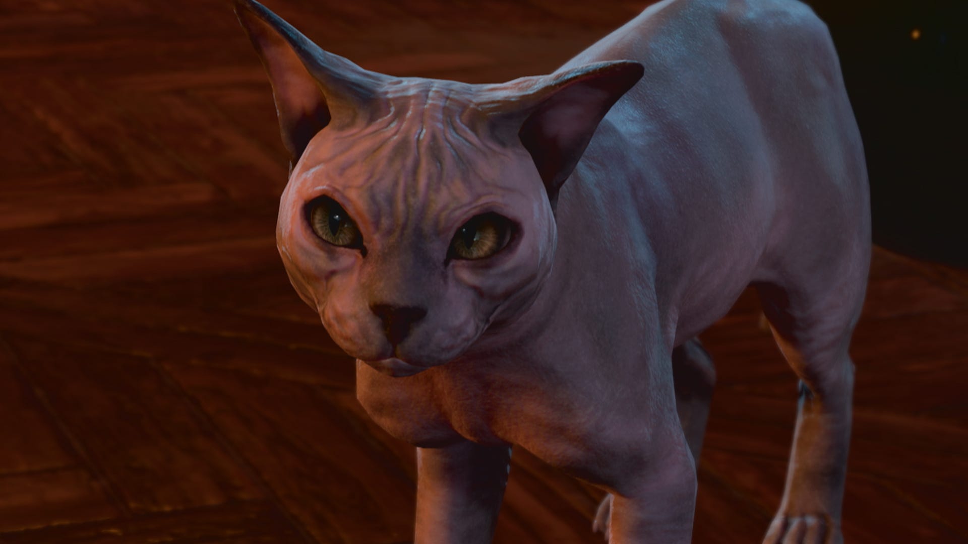 Following fan uproar, Larian trims the fur of Baldur's Gate 3's favorite cat again
