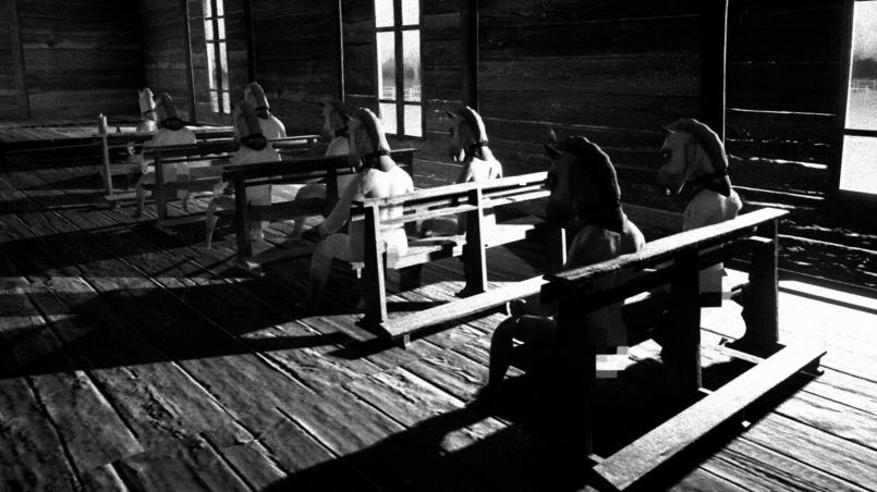 GOG Supports Horses After Valve Steam Ban: Choice Matters