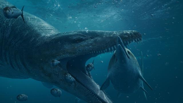 Kick off 2024 with England's Jurassic predator skull discovery