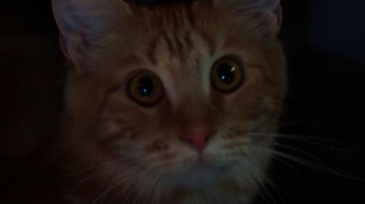 New Alien: Earth Trailer Recreates Classic — Poor Cat’s Fate