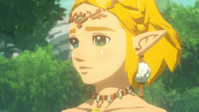 Next Zelda Game May Draw from Hyrule Warriors Inspiration