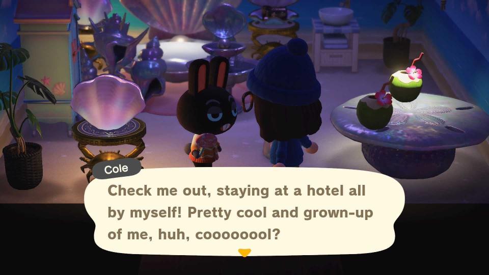 No Hotel Visitors Allowed on Your Island in Animal Crossing