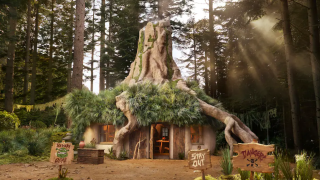 Stay Free in Shrek's Swamp on Airbnb, Charity Gain & Waffles Await!