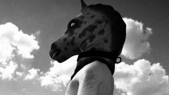 Unleashing the Truth: Our Horses Review is Here