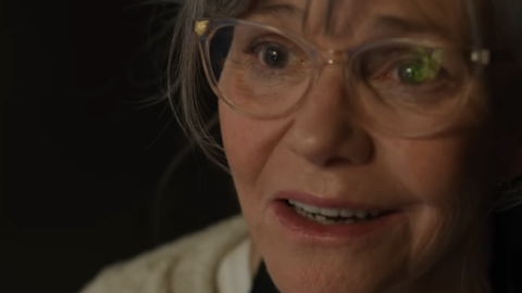 Sally Field and new Zelda projects in 2027