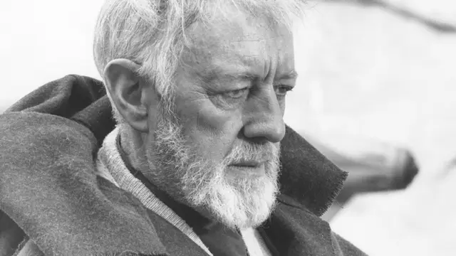 Ian McKellen and his conversation with Alec Guinness about political involvement