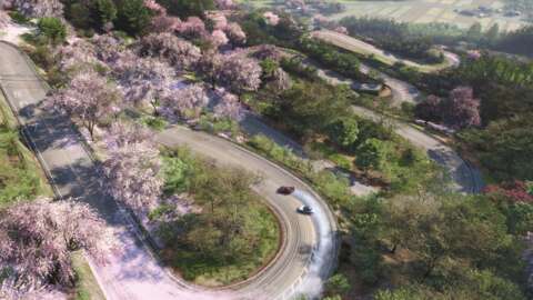 Forza Horizon 6: new features and updates for racing fans
