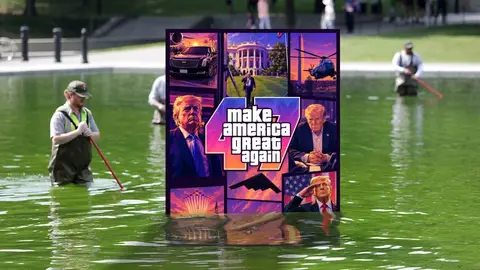 media-1