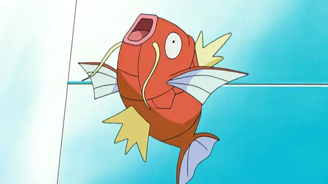 Magikarp cat toy scalping: what does this mean for Pokémon fans?