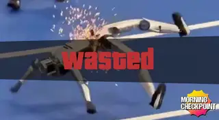 Clanker incident: consequences for the world humanoid robot games