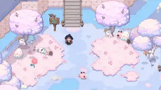 Little Witch in the Woods: release on Nintendo Switch and what it means for players