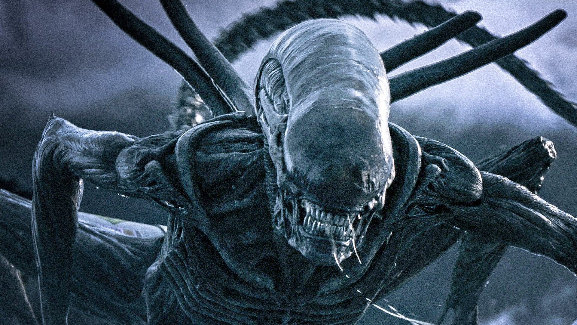 Ridley Scott's Alien: Covenant sequel: financial risks and player impact