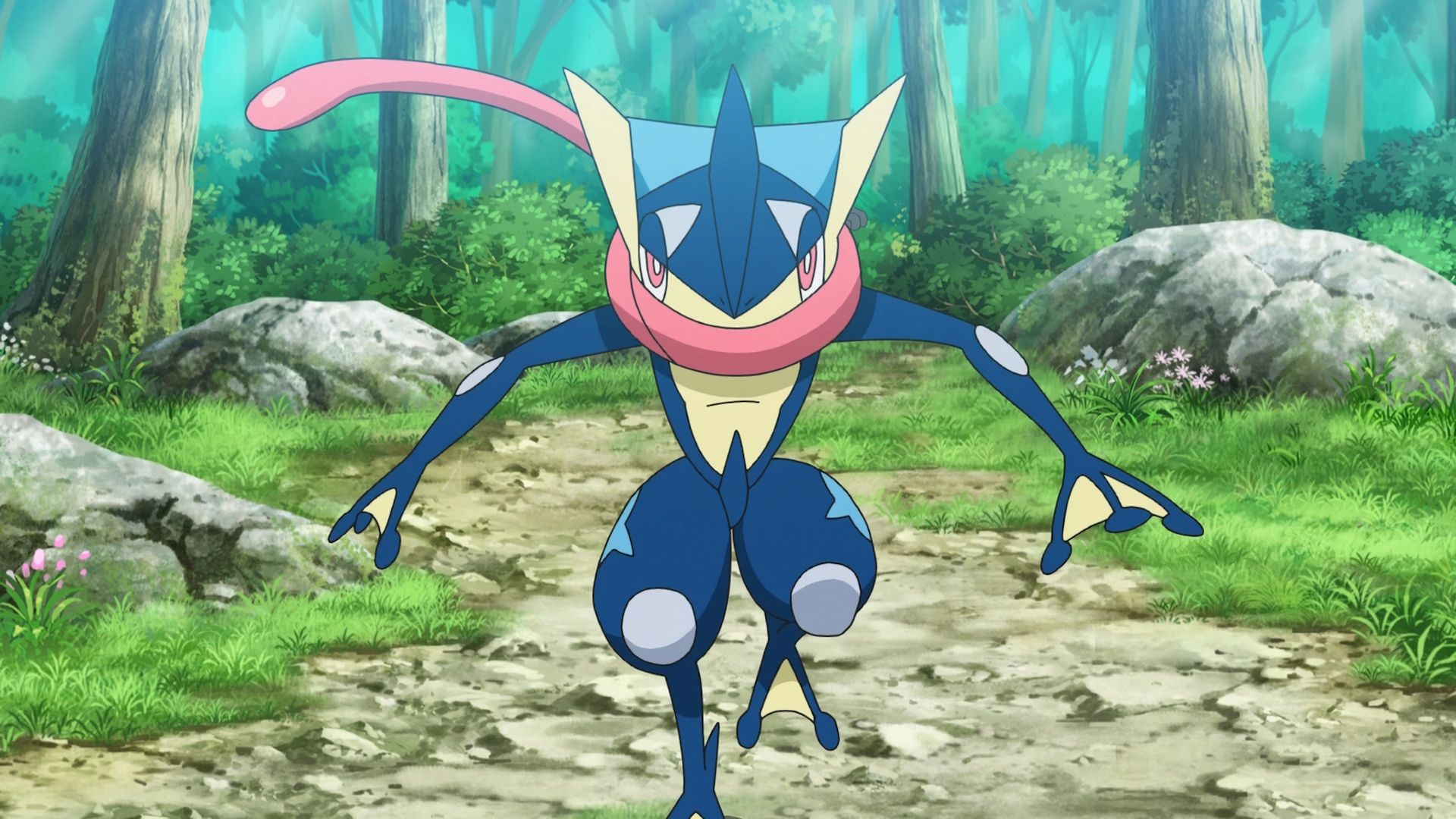 Greninja giveaway: exclusive for PokémonXP and world championships