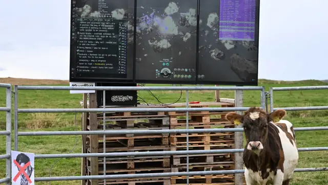 EVE Online: cow plays and connects players via Twitch